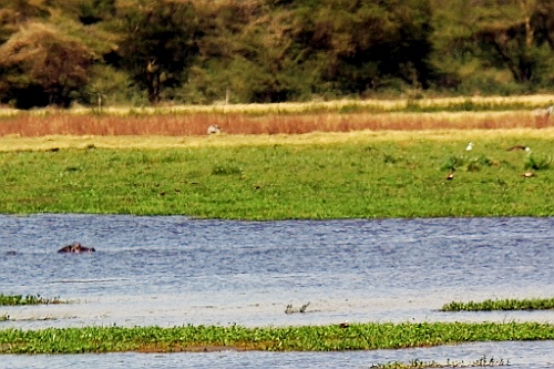 Kenia (173)